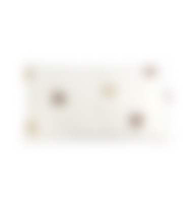 Step2 Gift Image